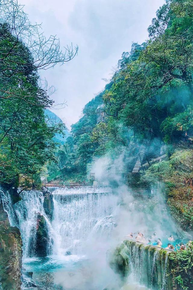 无休止的树